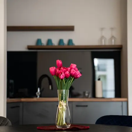 Laketic * Sremska Mitrovica